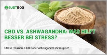 CBD vs. Ashwagandha: Was hilft besser bei Stress?