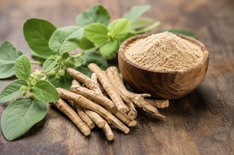 Ashwagandha: Der Cortisol-Killer aus der Ayurveda-Ecke