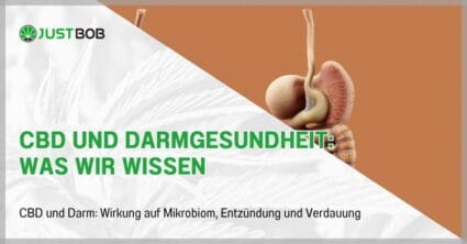 CBD und Darmgesundheit: Was wir wissen