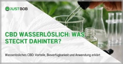 CBD wasserlöslich: Was steckt dahinter?