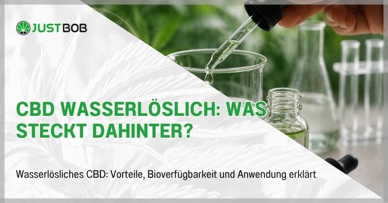 cbd-wasserloeslich-was-steckt-dahinter CBD wasserlöslich: Was steckt dahinter?