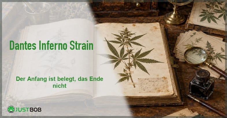 herbarium-gepresstes-hanfexemplar-archiv Artikel-Banner mit grünem Titel und Justbob-Logo; rechts ein aufgeschlagenes Herbarium mit gepresstem Hanfexemplar
