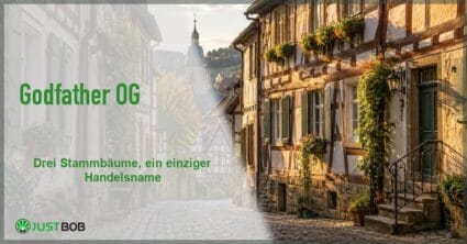Artikel-Banner mit grünem Titel und Justbob-Logo; Foto rechts: eine Fachwerkgasse mit Kopfsteinpflaster und einem Zwiebelturm im Hintergrund