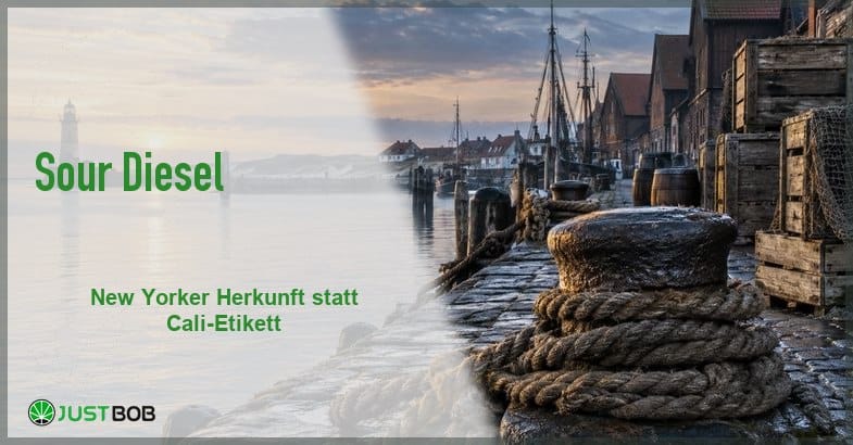 hafenmole-poller-hanftaue-morgenlicht Artikel-Banner mit grünem Titel und Justbob-Logo; rechts eine Hafenmole im Morgenlicht mit Poller und aufgerollten Hanftauen