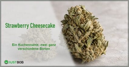 Artikel-Banner mit grünem Titel und Justbob-Logo, dahinter eine Hanfblüte auf hellem Steingrund, links eine zweite unscharf