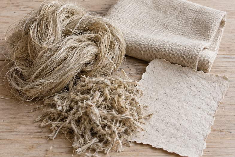 Rohe Hanffaser und ein Stück ungebleichtes Naturgewebe auf heller Holzwerkbank, daneben ein Blatt handgeschöpftes Hanfpapier
